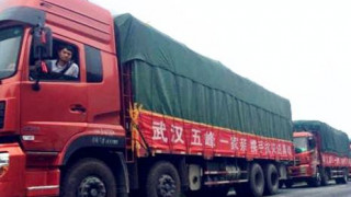 将乐大王村村民吴朝光 支持企业复工复产捐赠的蔬菜
