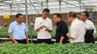 将乐县领导参观厦门如意情集团 学习考察农业产业化项目