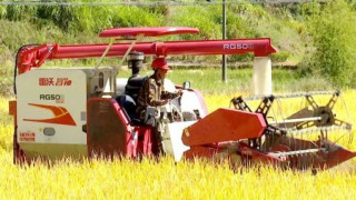 尤溪县推行农业机械化 帮助农民唱响丰收曲
